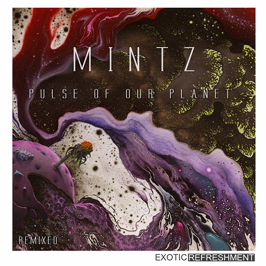 Mintz - Pulse Of Our Planet (Remixed)